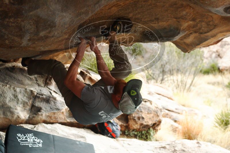 

Filename: SRM_20180317_0945410.jpg
Aperture: f/4.0
Shutter Speed: 1/800
Body: Canon EOS-1D Mark II
Lens: Canon EF 50mm f/1.8 II