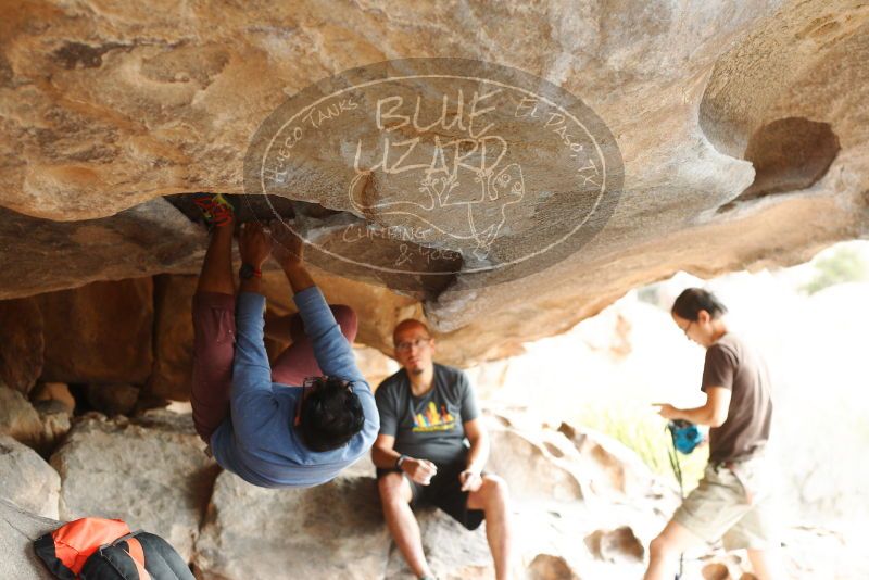 

Filename: SRM_20180317_1028550.jpg
Aperture: f/3.2
Shutter Speed: 1/320
Body: Canon EOS-1D Mark II
Lens: Canon EF 50mm f/1.8 II