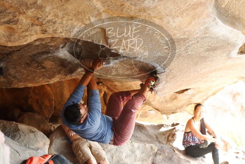 

Filename: SRM_20180317_1041060.jpg
Aperture: f/4.0
Shutter Speed: 1/320
Body: Canon EOS-1D Mark II
Lens: Canon EF 50mm f/1.8 II