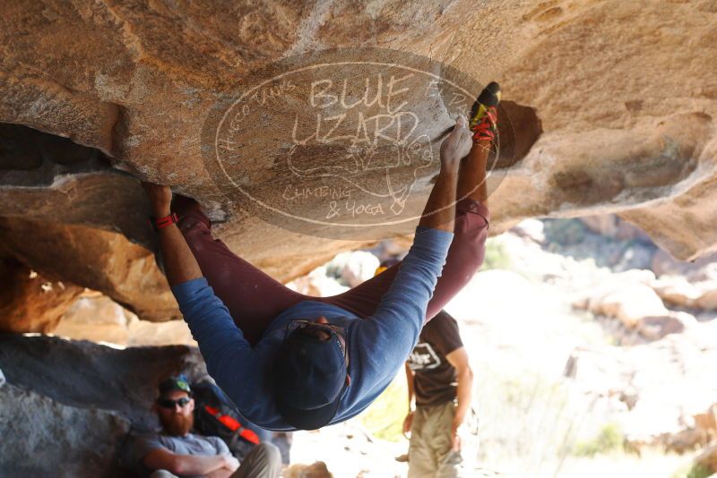 

Filename: SRM_20180317_1146470.jpg
Aperture: f/4.0
Shutter Speed: 1/320
Body: Canon EOS-1D Mark II
Lens: Canon EF 50mm f/1.8 II