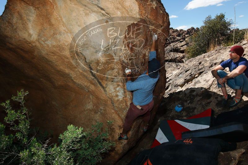 

Filename: SRM_20180317_1317250.jpg
Aperture: f/9.0
Shutter Speed: 1/250
Body: Canon EOS-1D Mark II
Lens: Canon EF 16-35mm f/2.8 L