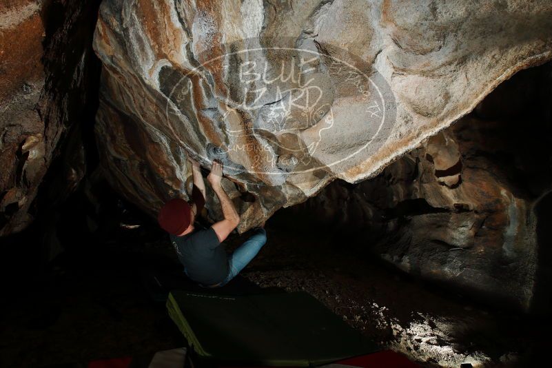 

Filename: SRM_20180315_1457400.jpg
Aperture: f/8.0
Shutter Speed: 1/250
Body: Canon EOS-1D Mark II
Lens: Canon EF 16-35mm f/2.8 L