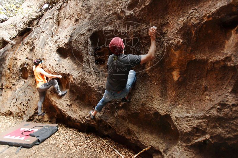 

Filename: SRM_20180315_1521060.jpg
Aperture: f/3.2
Shutter Speed: 1/200
Body: Canon EOS-1D Mark II
Lens: Canon EF 16-35mm f/2.8 L