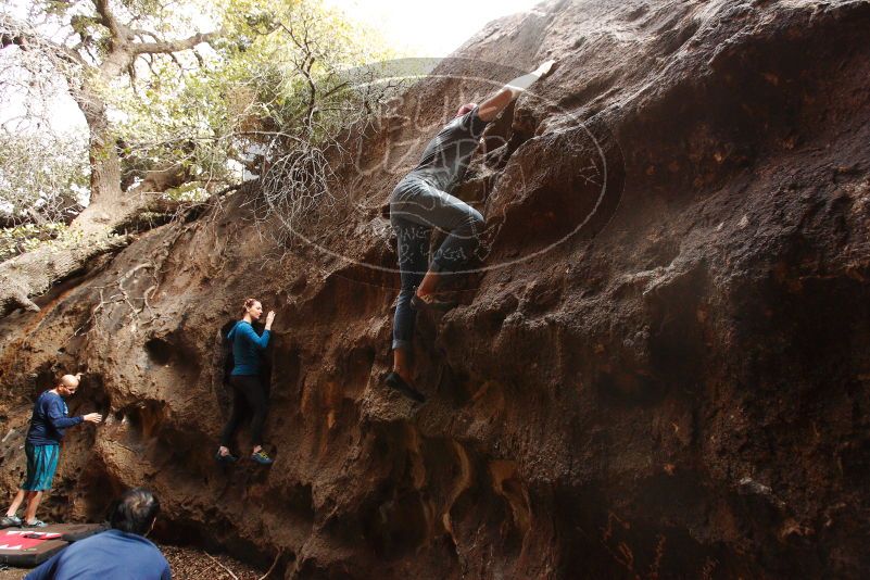 

Filename: SRM_20180315_1528280.jpg
Aperture: f/4.5
Shutter Speed: 1/200
Body: Canon EOS-1D Mark II
Lens: Canon EF 16-35mm f/2.8 L