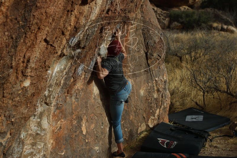 

Filename: SRM_20180315_1719550.jpg
Aperture: f/4.0
Shutter Speed: 1/640
Body: Canon EOS-1D Mark II
Lens: Canon EF 50mm f/1.8 II