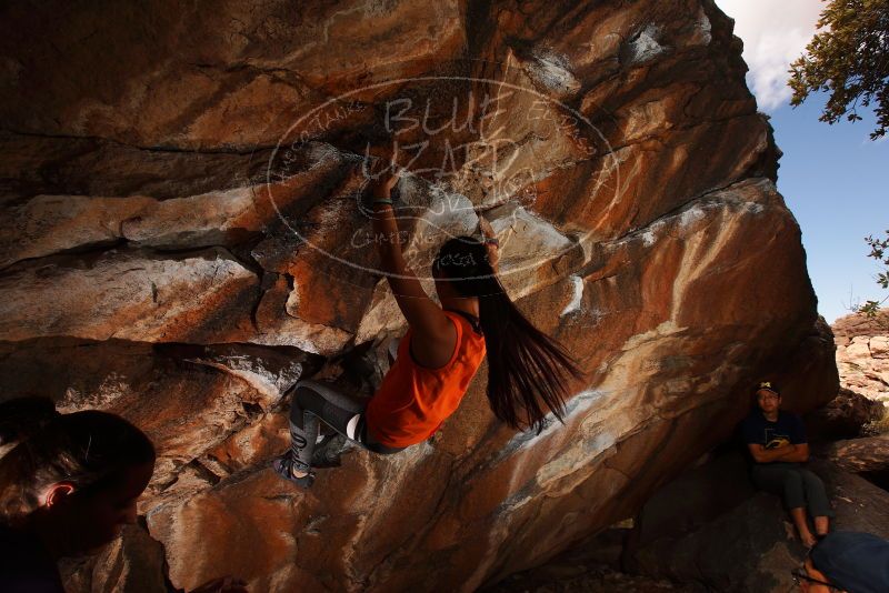 

Filename: SRM_20180315_1142370.jpg
Aperture: f/8.0
Shutter Speed: 1/250
Body: Canon EOS-1D Mark II
Lens: Canon EF 16-35mm f/2.8 L