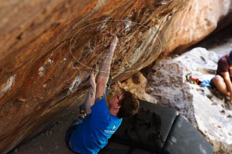 

Filename: SRM_20180315_1415080.jpg
Aperture: f/2.8
Shutter Speed: 1/250
Body: Canon EOS-1D Mark II
Lens: Canon EF 85mm f/1.2 L II