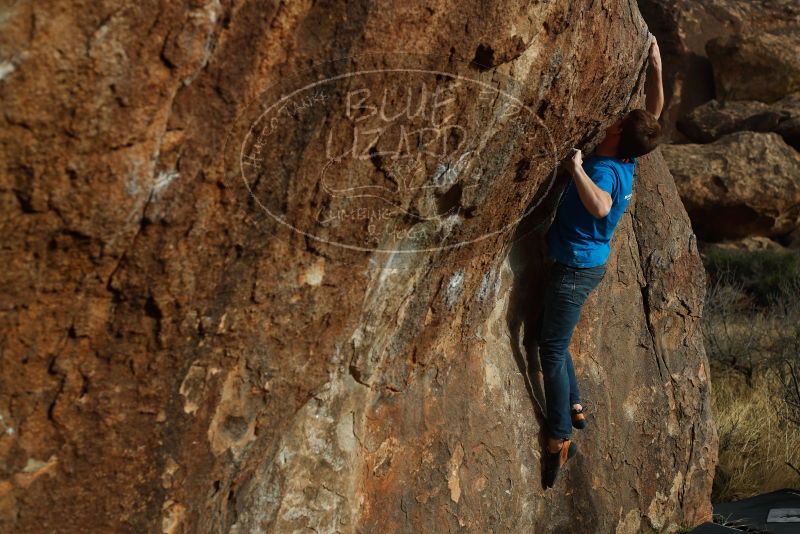 

Filename: SRM_20180315_1731211.jpg
Aperture: f/4.0
Shutter Speed: 1/640
Body: Canon EOS-1D Mark II
Lens: Canon EF 50mm f/1.8 II