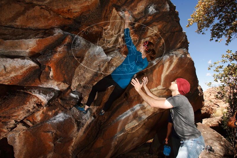 

Filename: SRM_20180315_1129090.jpg
Aperture: f/8.0
Shutter Speed: 1/250
Body: Canon EOS-1D Mark II
Lens: Canon EF 16-35mm f/2.8 L