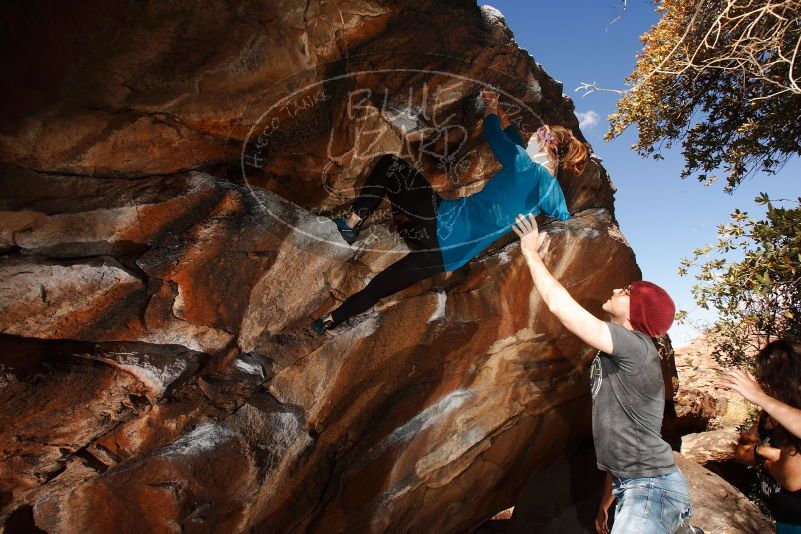 

Filename: SRM_20180315_1129190.jpg
Aperture: f/8.0
Shutter Speed: 1/250
Body: Canon EOS-1D Mark II
Lens: Canon EF 16-35mm f/2.8 L