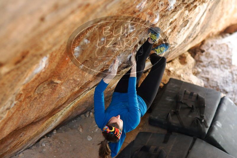 

Filename: SRM_20180315_1413100.jpg
Aperture: f/1.8
Shutter Speed: 1/250
Body: Canon EOS-1D Mark II
Lens: Canon EF 85mm f/1.2 L II