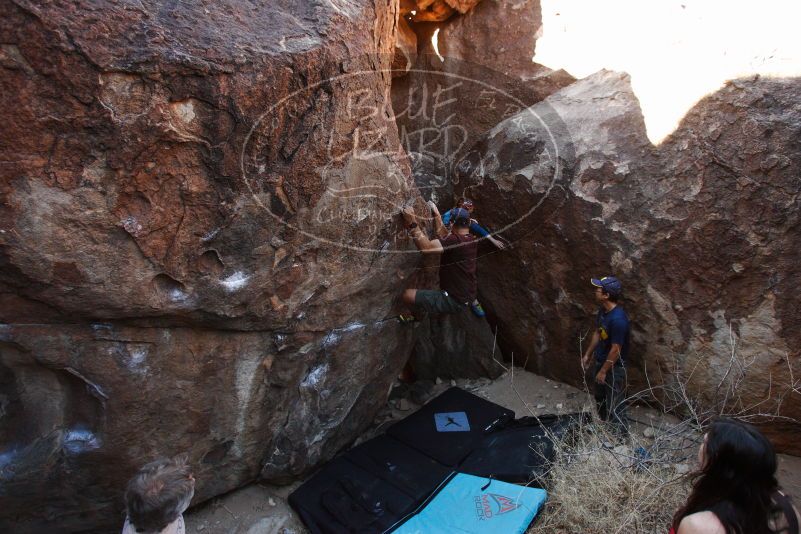 

Filename: SRM_20180315_1035210.jpg
Aperture: f/4.0
Shutter Speed: 1/250
Body: Canon EOS-1D Mark II
Lens: Canon EF 16-35mm f/2.8 L