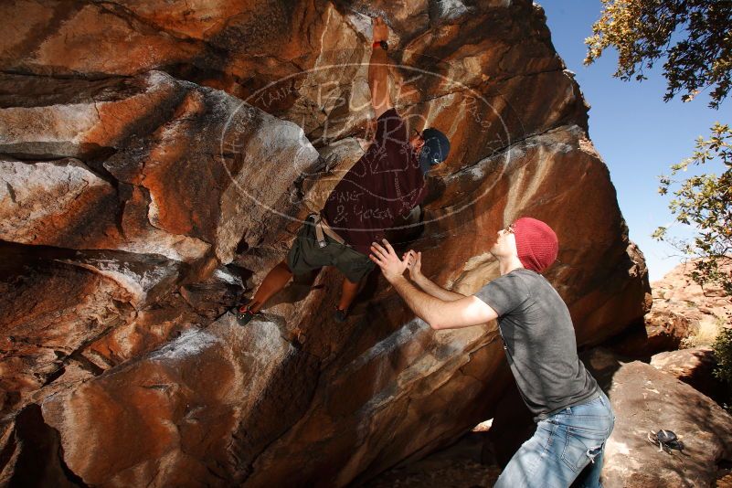 

Filename: SRM_20180315_1123110.jpg
Aperture: f/8.0
Shutter Speed: 1/250
Body: Canon EOS-1D Mark II
Lens: Canon EF 16-35mm f/2.8 L