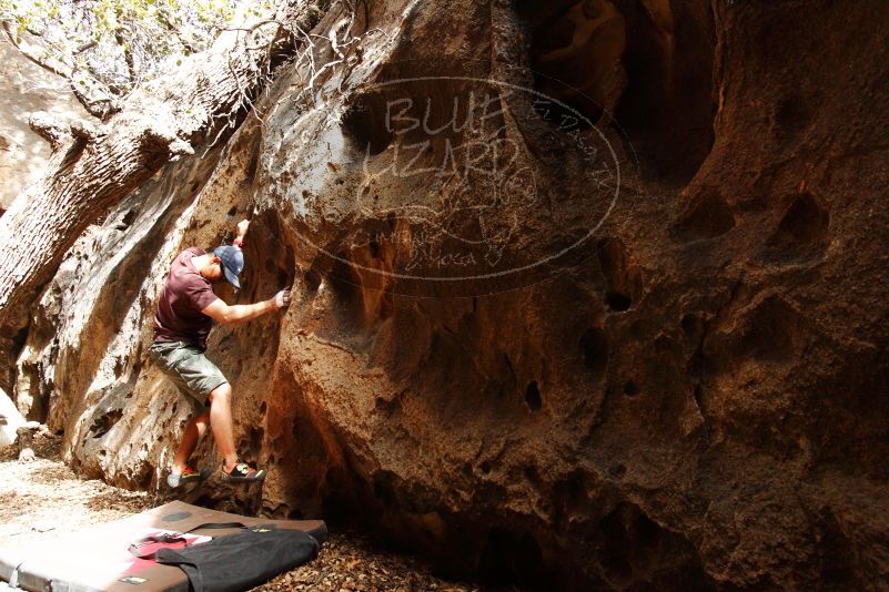 

Filename: SRM_20180315_1517470.jpg
Aperture: f/5.6
Shutter Speed: 1/200
Body: Canon EOS-1D Mark II
Lens: Canon EF 16-35mm f/2.8 L