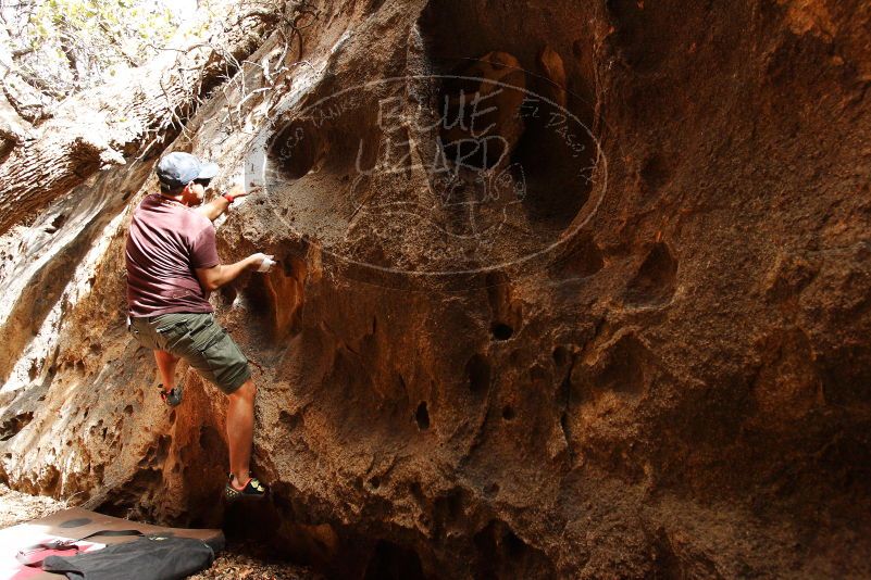 

Filename: SRM_20180315_1518000.jpg
Aperture: f/5.0
Shutter Speed: 1/200
Body: Canon EOS-1D Mark II
Lens: Canon EF 16-35mm f/2.8 L