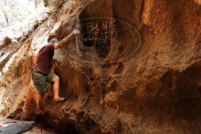 

Filename: SRM_20180315_1518070.jpg
Aperture: f/4.5
Shutter Speed: 1/200
Body: Canon EOS-1D Mark II
Lens: Canon EF 16-35mm f/2.8 L