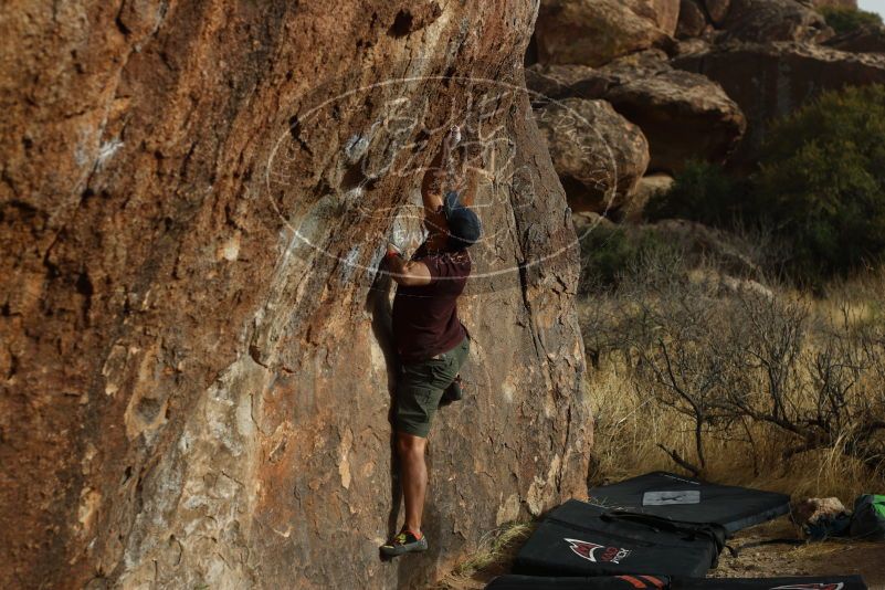 

Filename: SRM_20180315_1721100.jpg
Aperture: f/4.0
Shutter Speed: 1/500
Body: Canon EOS-1D Mark II
Lens: Canon EF 50mm f/1.8 II