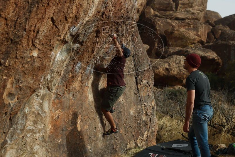 

Filename: SRM_20180315_1725361.jpg
Aperture: f/4.0
Shutter Speed: 1/500
Body: Canon EOS-1D Mark II
Lens: Canon EF 50mm f/1.8 II