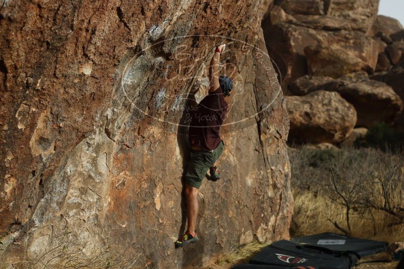 

Filename: SRM_20180315_1728180.jpg
Aperture: f/4.0
Shutter Speed: 1/500
Body: Canon EOS-1D Mark II
Lens: Canon EF 50mm f/1.8 II