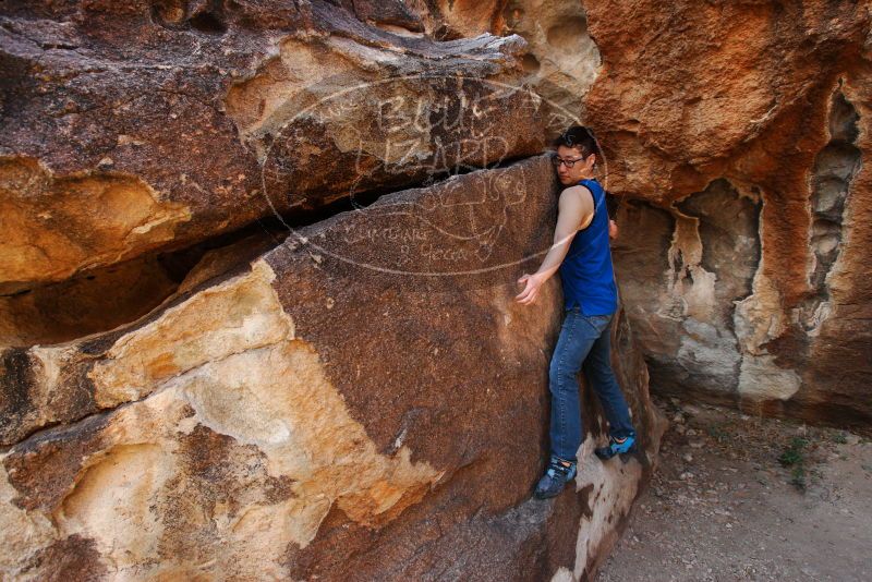 

Filename: SRM_20180313_0911130.jpg
Aperture: f/5.6
Shutter Speed: 1/250
Body: Canon EOS-1D Mark II
Lens: Canon EF 16-35mm f/2.8 L