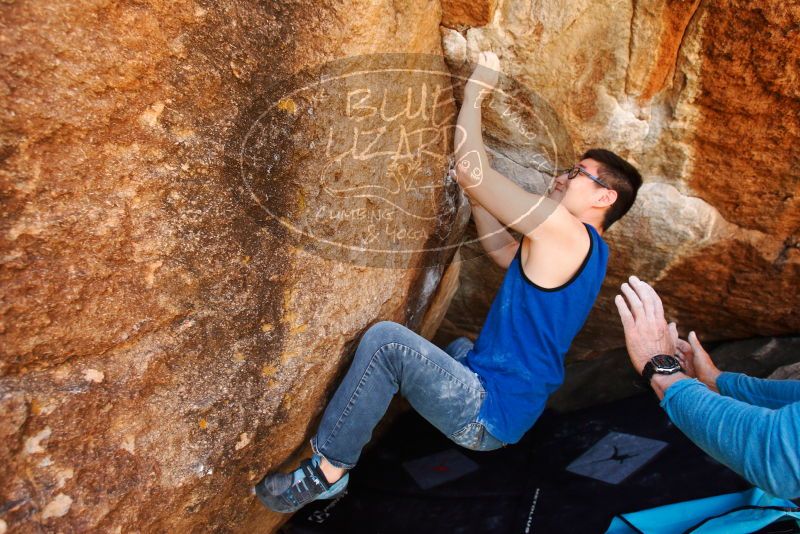 

Filename: SRM_20180313_1022590.jpg
Aperture: f/4.0
Shutter Speed: 1/320
Body: Canon EOS-1D Mark II
Lens: Canon EF 16-35mm f/2.8 L