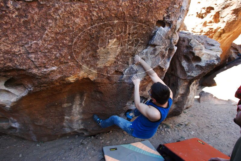 

Filename: SRM_20180313_1044000.jpg
Aperture: f/4.0
Shutter Speed: 1/320
Body: Canon EOS-1D Mark II
Lens: Canon EF 16-35mm f/2.8 L