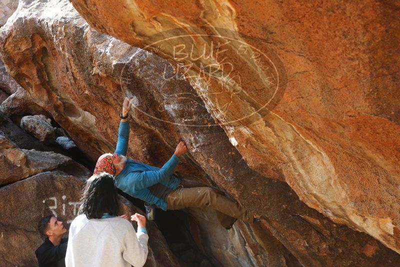 

Filename: SRM_20180313_0954400.jpg
Aperture: f/4.5
Shutter Speed: 1/400
Body: Canon EOS-1D Mark II
Lens: Canon EF 50mm f/1.8 II