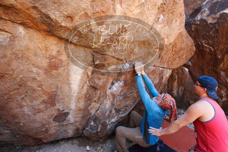 

Filename: SRM_20180313_1321030.jpg
Aperture: f/4.0
Shutter Speed: 1/250
Body: Canon EOS-1D Mark II
Lens: Canon EF 16-35mm f/2.8 L