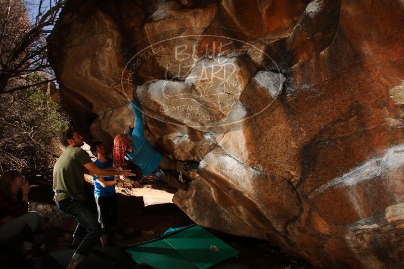 

Filename: SRM_20180313_1452200.jpg
Aperture: f/8.0
Shutter Speed: 1/250
Body: Canon EOS-1D Mark II
Lens: Canon EF 16-35mm f/2.8 L