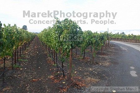 

Filename: crw_2092_std.jpg
Aperture: f/22.0
Shutter Speed: 1/6
Body: Canon EOS DIGITAL REBEL
Lens: Canon EF-S 18-55mm f/3.5-5.6