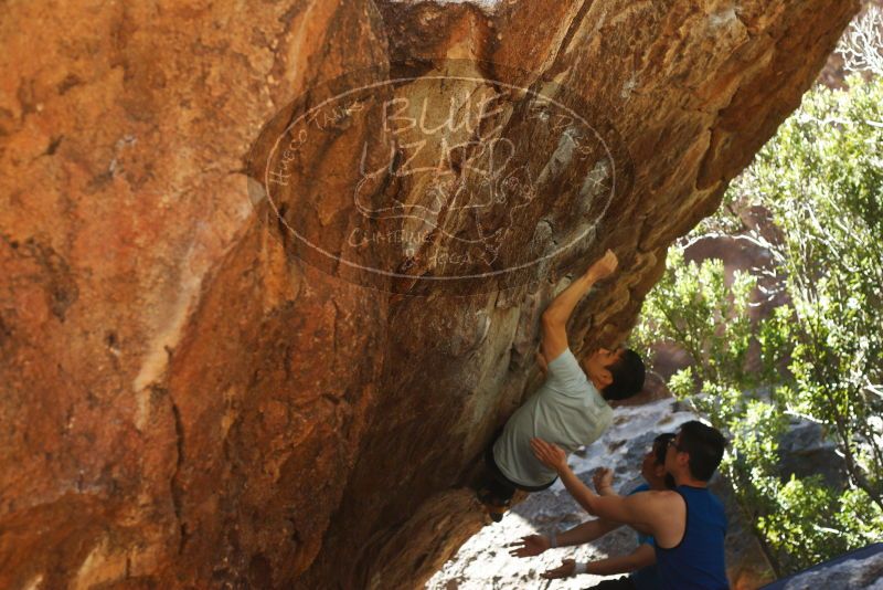 

Filename: SRM_20180313_1104470.jpg
Aperture: f/4.0
Shutter Speed: 1/500
Body: Canon EOS-1D Mark II
Lens: Canon EF 50mm f/1.8 II