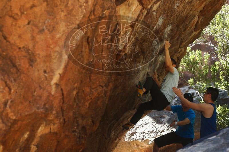 

Filename: SRM_20180313_1104520.jpg
Aperture: f/4.0
Shutter Speed: 1/500
Body: Canon EOS-1D Mark II
Lens: Canon EF 50mm f/1.8 II