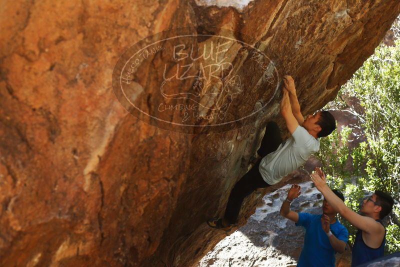 

Filename: SRM_20180313_1105140.jpg
Aperture: f/4.0
Shutter Speed: 1/500
Body: Canon EOS-1D Mark II
Lens: Canon EF 50mm f/1.8 II