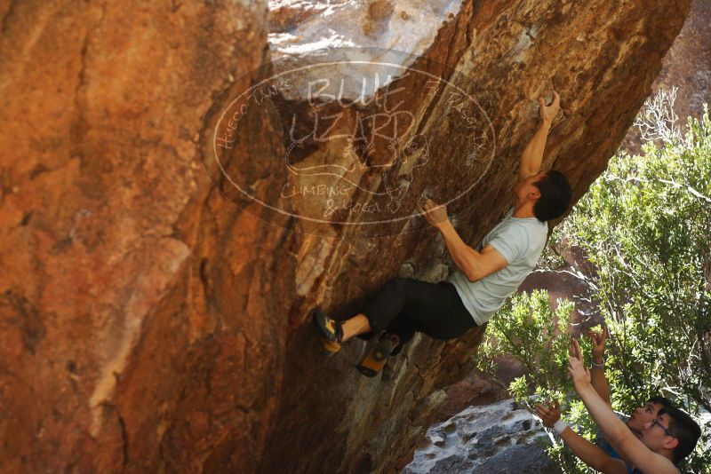 

Filename: SRM_20180313_1105380.jpg
Aperture: f/4.0
Shutter Speed: 1/640
Body: Canon EOS-1D Mark II
Lens: Canon EF 50mm f/1.8 II