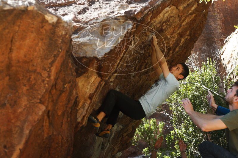 

Filename: SRM_20180313_1105510.jpg
Aperture: f/4.0
Shutter Speed: 1/800
Body: Canon EOS-1D Mark II
Lens: Canon EF 50mm f/1.8 II