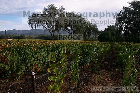 

Filename: crw_2084_std.jpg
Aperture: f/22.0
Shutter Speed: 1/8
Body: Canon EOS DIGITAL REBEL
Lens: Canon EF-S 18-55mm f/3.5-5.6