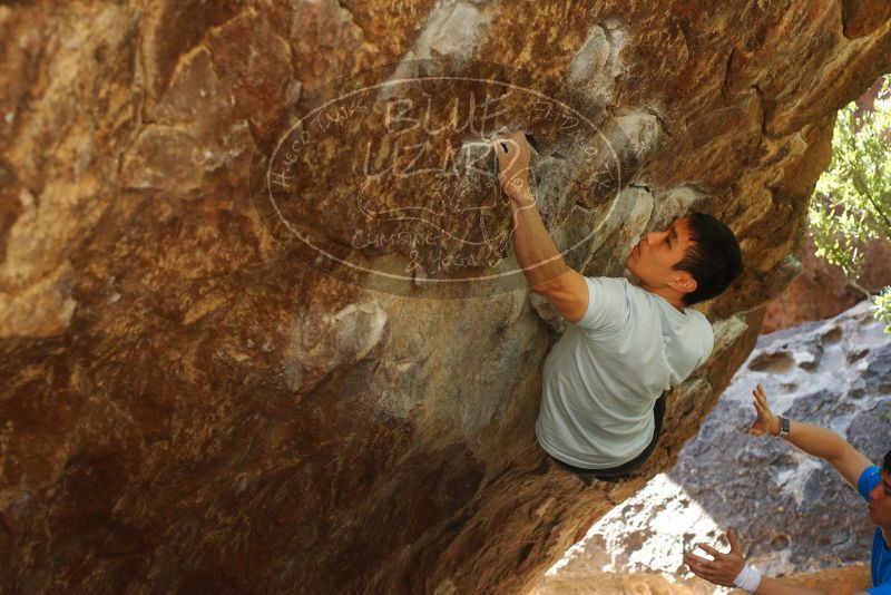 

Filename: SRM_20180313_1116271.jpg
Aperture: f/4.0
Shutter Speed: 1/320
Body: Canon EOS-1D Mark II
Lens: Canon EF 50mm f/1.8 II