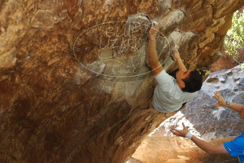 

Filename: SRM_20180313_1118280.jpg
Aperture: f/4.0
Shutter Speed: 1/250
Body: Canon EOS-1D Mark II
Lens: Canon EF 50mm f/1.8 II