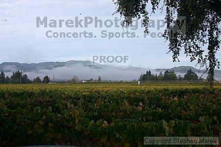 

Filename: crw_2088_std.jpg
Aperture: f/22.0
Shutter Speed: 1/60
Body: Canon EOS DIGITAL REBEL
Lens: Canon EF-S 18-55mm f/3.5-5.6