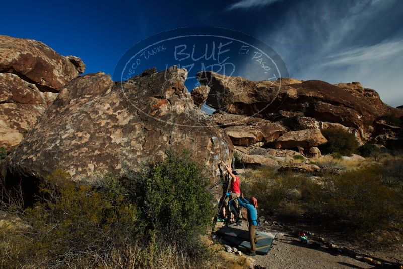 

Filename: SRM_20180313_0908130.jpg
Aperture: f/8.0
Shutter Speed: 1/250
Body: Canon EOS-1D Mark II
Lens: Canon EF 16-35mm f/2.8 L