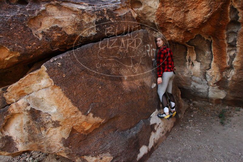 

Filename: SRM_20180313_0911360.jpg
Aperture: f/5.6
Shutter Speed: 1/250
Body: Canon EOS-1D Mark II
Lens: Canon EF 16-35mm f/2.8 L