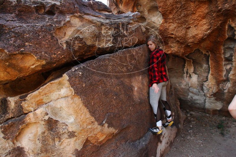 

Filename: SRM_20180313_0912110.jpg
Aperture: f/5.6
Shutter Speed: 1/250
Body: Canon EOS-1D Mark II
Lens: Canon EF 16-35mm f/2.8 L