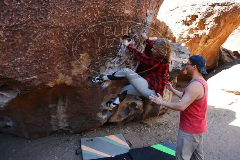 

Filename: SRM_20180313_1101250.jpg
Aperture: f/4.0
Shutter Speed: 1/500
Body: Canon EOS-1D Mark II
Lens: Canon EF 16-35mm f/2.8 L