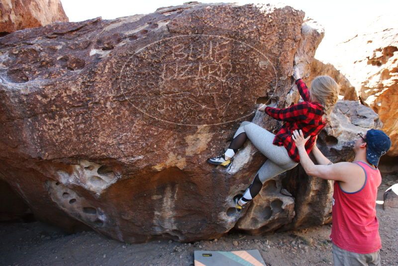 

Filename: SRM_20180313_1101290.jpg
Aperture: f/4.0
Shutter Speed: 1/320
Body: Canon EOS-1D Mark II
Lens: Canon EF 16-35mm f/2.8 L