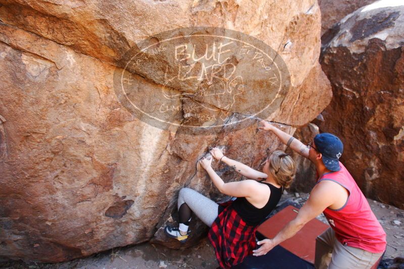 

Filename: SRM_20180313_1319300.jpg
Aperture: f/4.0
Shutter Speed: 1/250
Body: Canon EOS-1D Mark II
Lens: Canon EF 16-35mm f/2.8 L