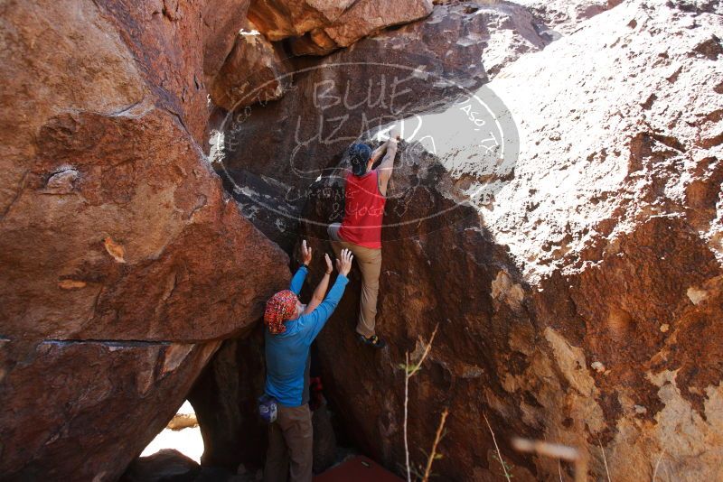 

Filename: SRM_20180313_1328590.jpg
Aperture: f/4.0
Shutter Speed: 1/640
Body: Canon EOS-1D Mark II
Lens: Canon EF 16-35mm f/2.8 L