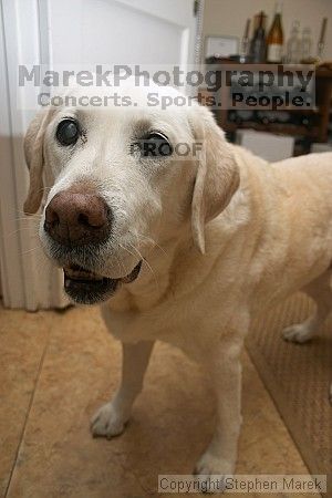 

Filename: crw_2052_std.jpg
Aperture: f/5.0
Shutter Speed: 1/200
Body: Canon EOS DIGITAL REBEL
Lens: Canon EF-S 18-55mm f/3.5-5.6