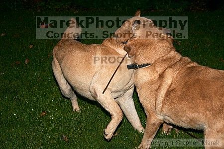 

Filename: crw_2035_std.jpg
Aperture: f/7.1
Shutter Speed: 1/200
Body: Canon EOS DIGITAL REBEL
Lens: Canon EF-S 18-55mm f/3.5-5.6