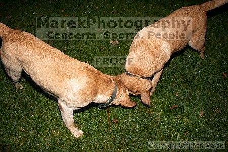 

Filename: crw_2036_std.jpg
Aperture: f/7.1
Shutter Speed: 1/200
Body: Canon EOS DIGITAL REBEL
Lens: Canon EF-S 18-55mm f/3.5-5.6