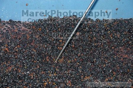 

Filename: crw_2028_std.jpg
Aperture: f/8.0
Shutter Speed: 1/200
Body: Canon EOS DIGITAL REBEL
Lens: Canon EF-S 18-55mm f/3.5-5.6